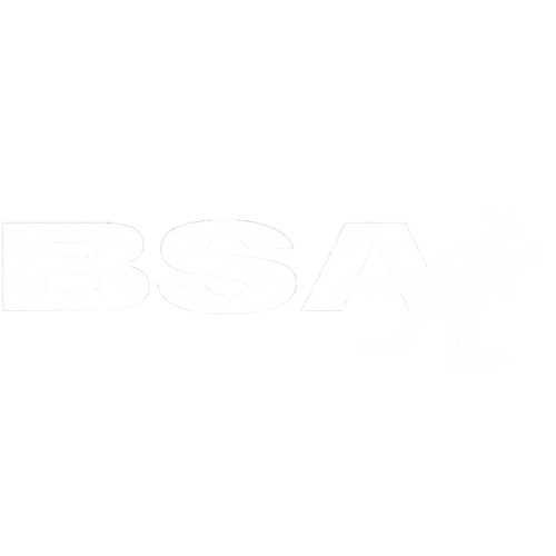Boxing Shoes Australia